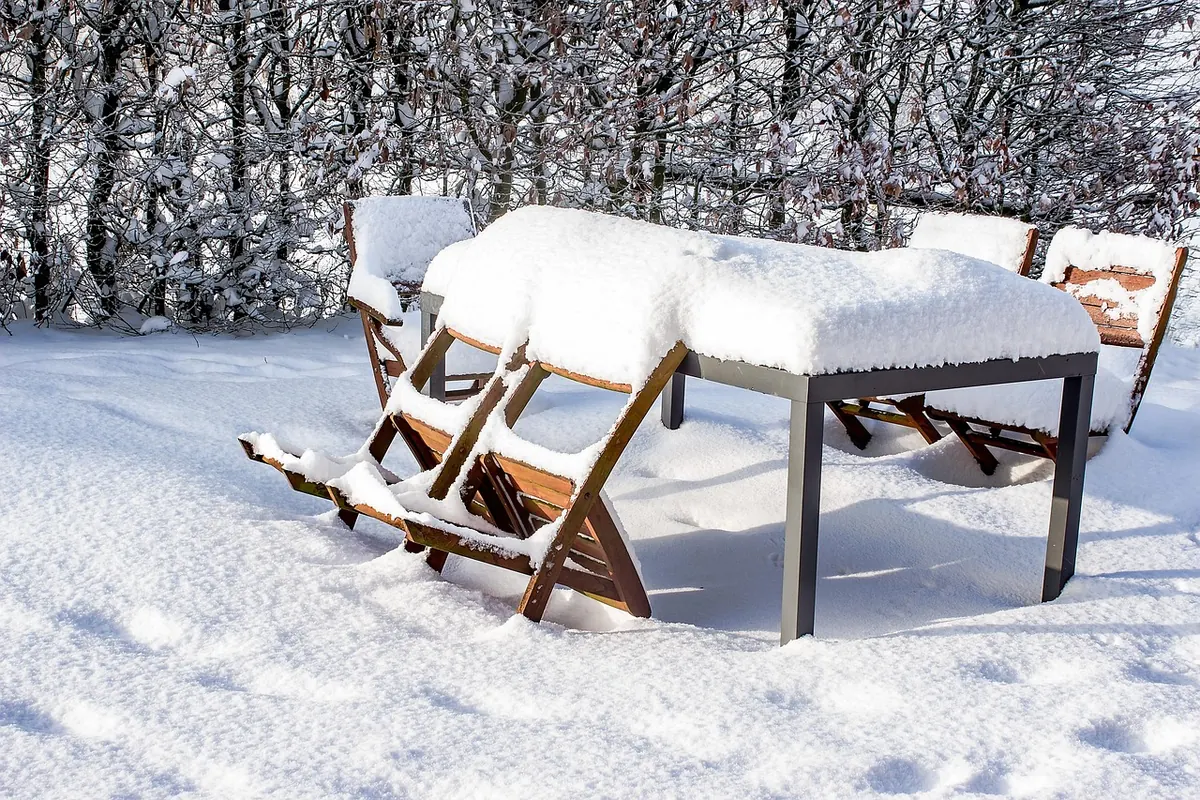 How to Secure Your Garden for High Winds: An Autumn and Winter Checklist
